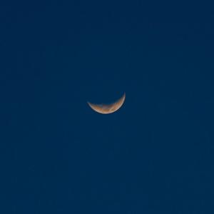 添女人荫蒂免费视频
