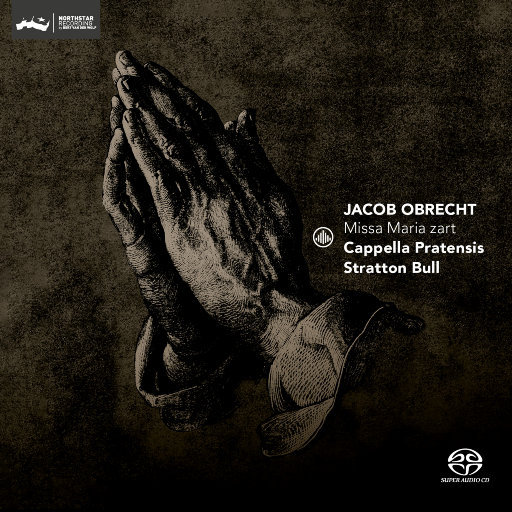 添女人荫蒂免费视频
